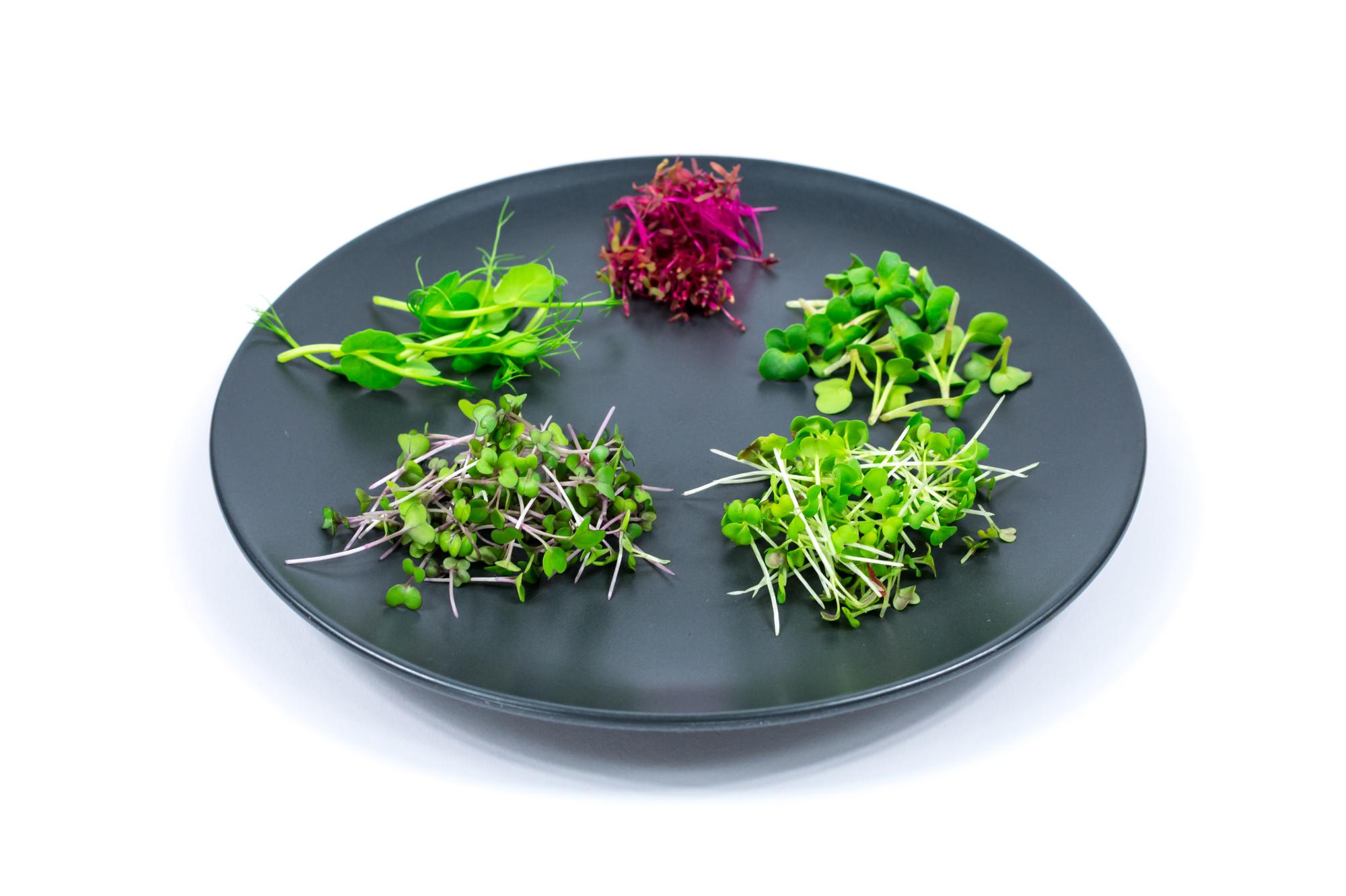 Plated seasonal dish on ceramic plate with microgreens